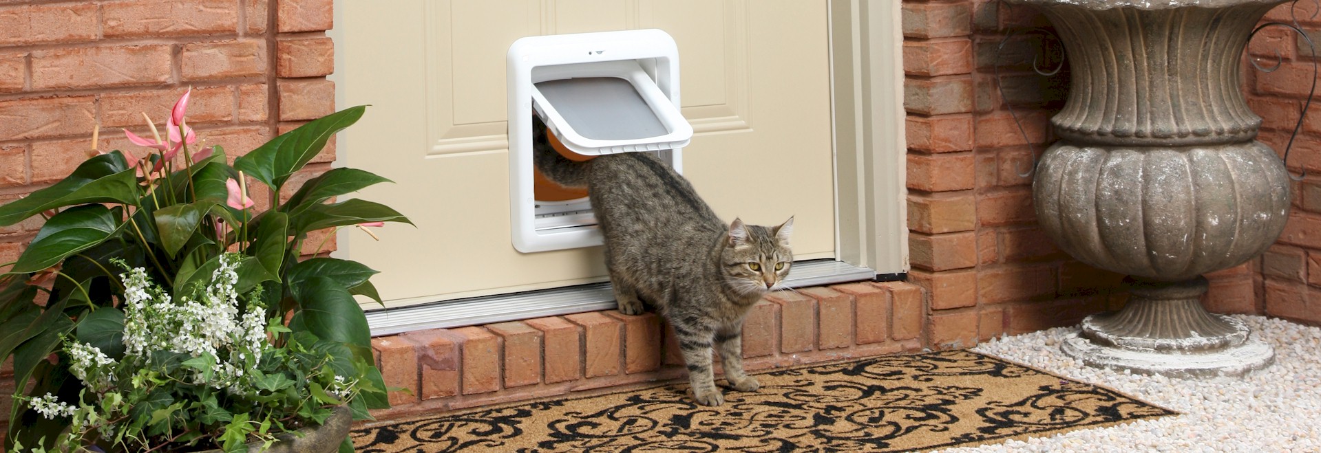 cat flap in double glazing